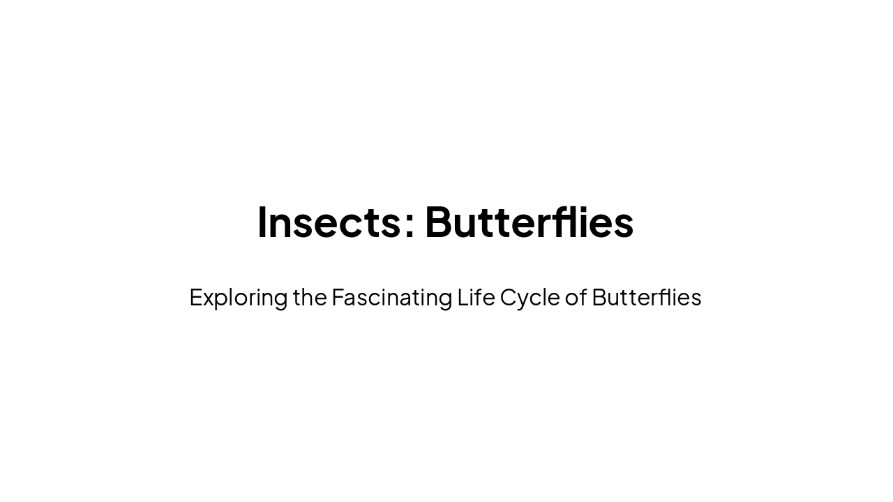Slide 6 - Insects: Butterflies