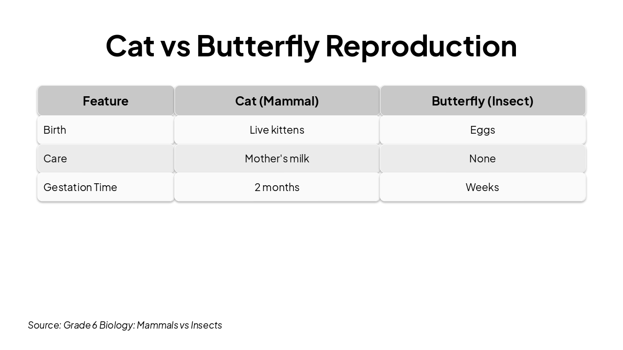 Slide 9 - Cat vs Butterfly Reproduction