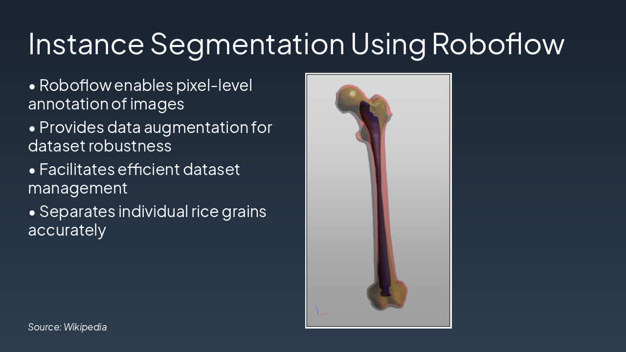 Slide 7 - Instance Segmentation Using Roboflow