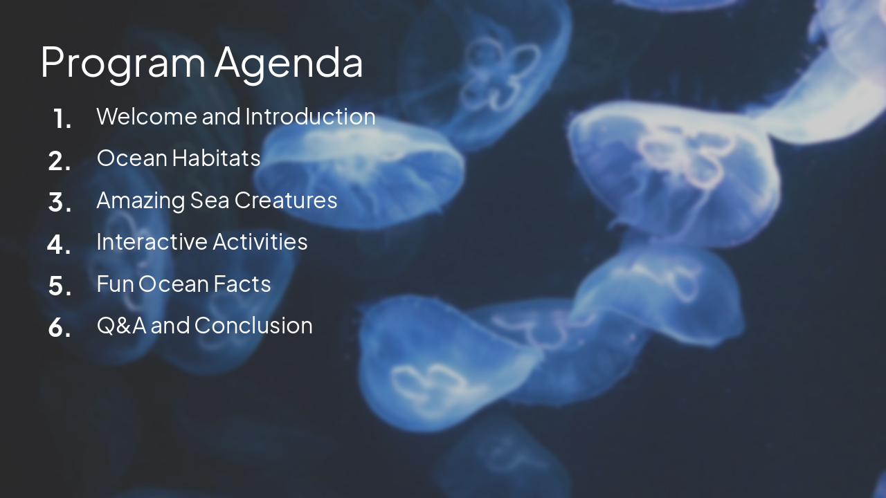 Slide 2 - Program Agenda