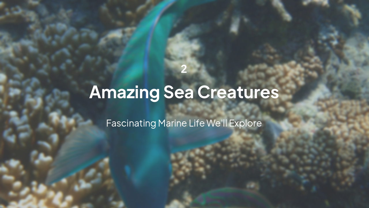 Slide 6 - Amazing Sea Creatures