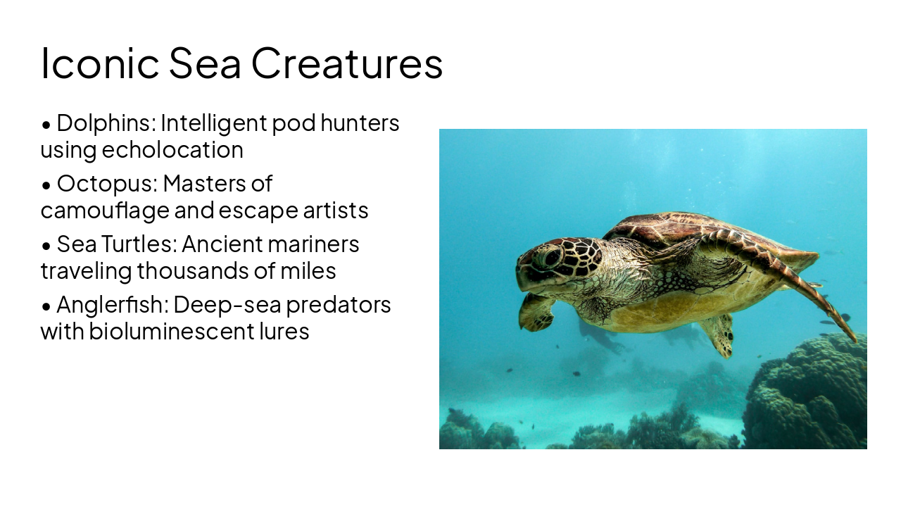 Slide 7 - Iconic Sea Creatures