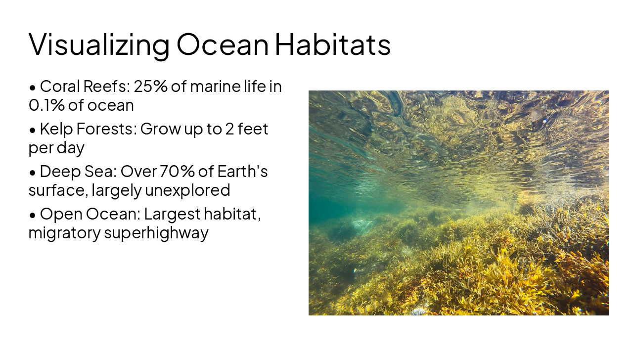 Slide 5 - Visualizing Ocean Habitats