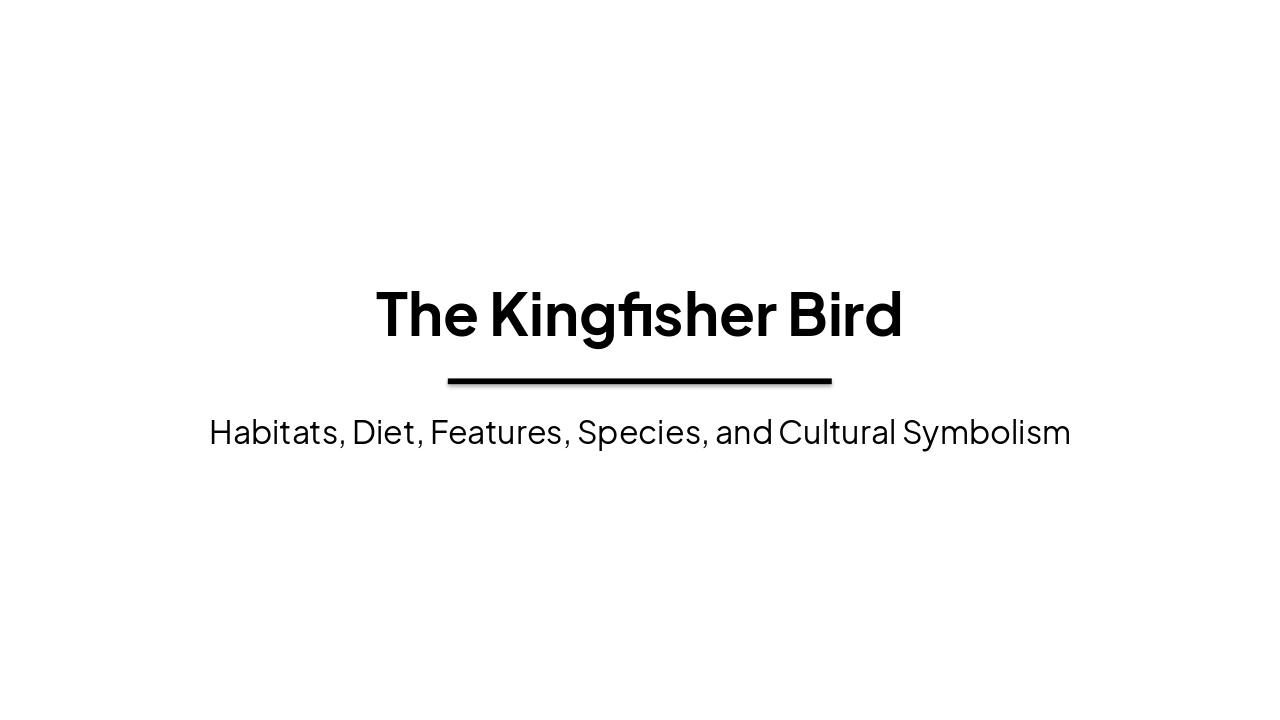 Slide 1 - The Kingfisher Bird