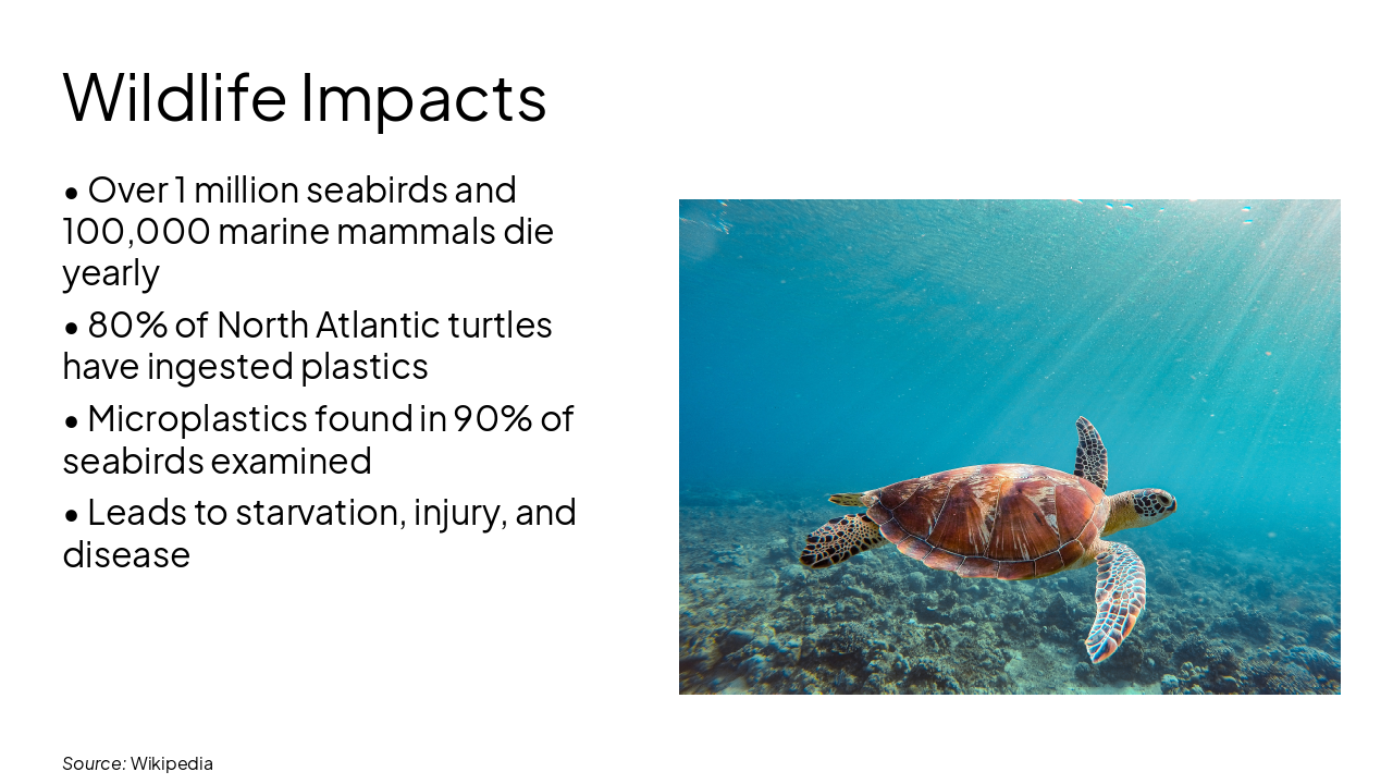 Slide 7 - Wildlife Impacts