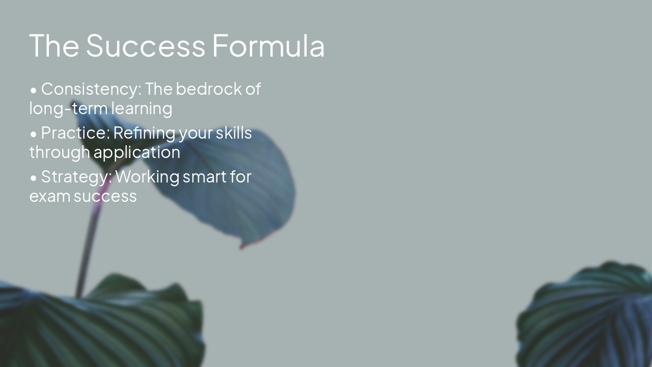 Slide 5 - The Success Formula