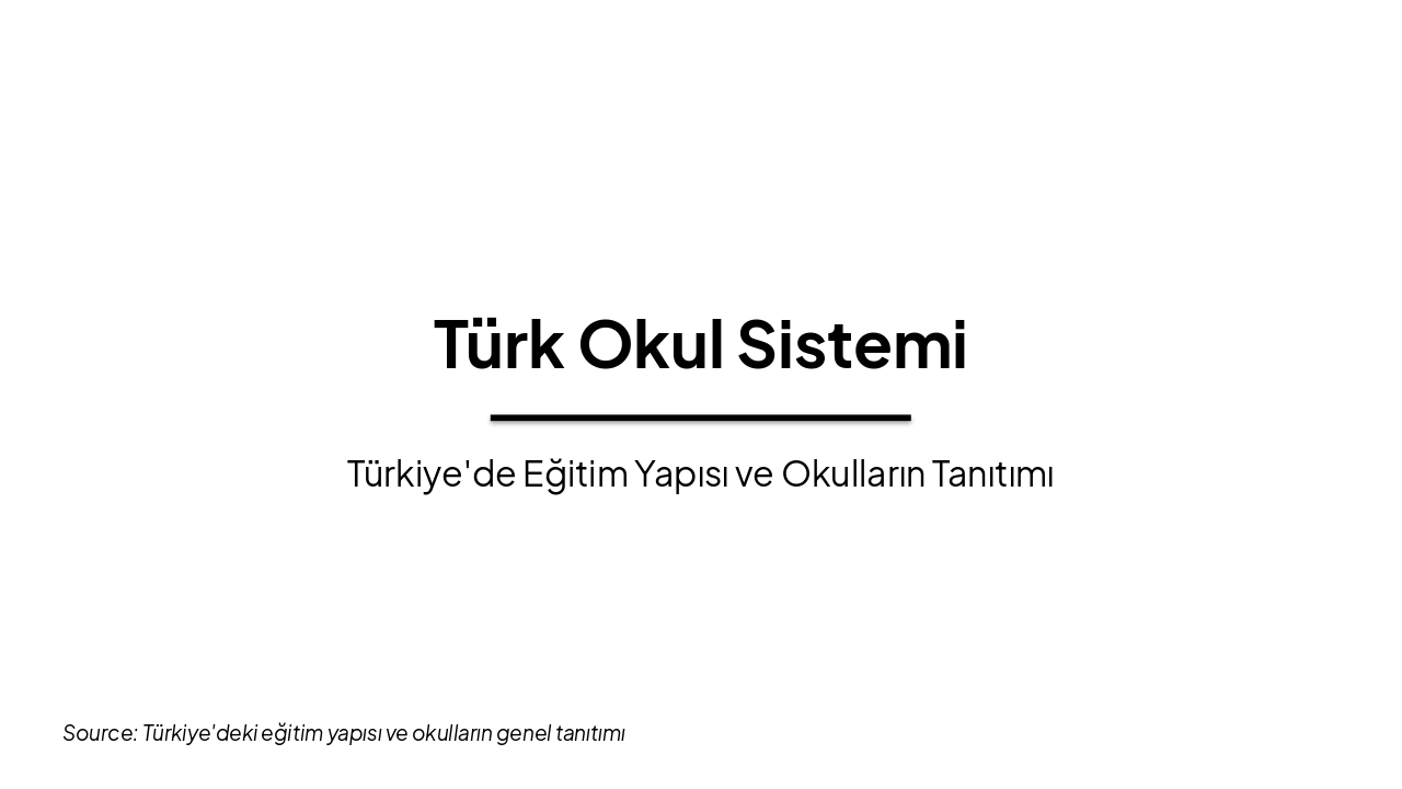 Turkish School System Overview