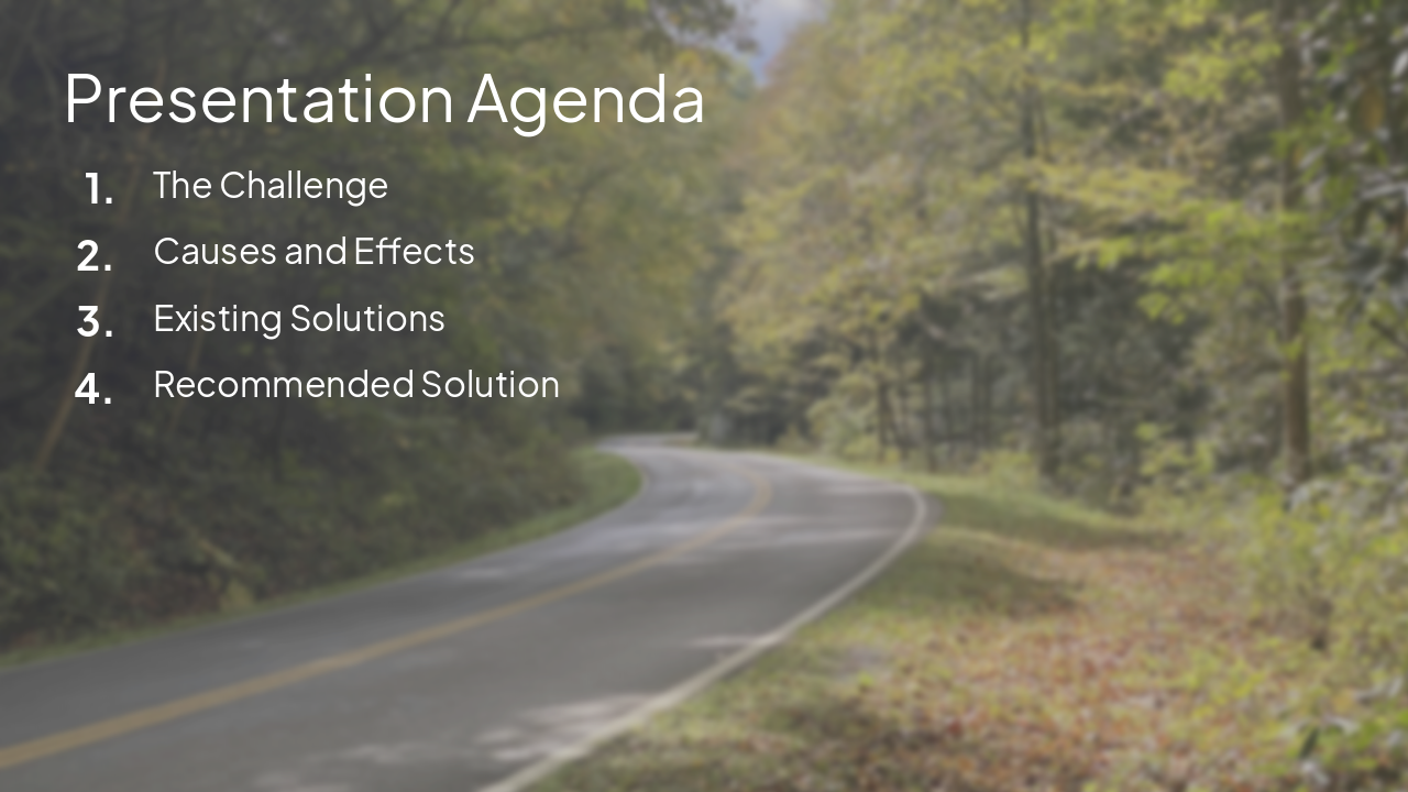 Slide 2 - Presentation Agenda