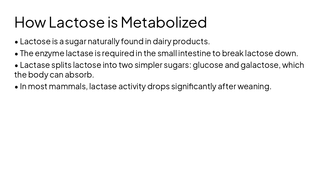 Slide 4 - How Lactose is Metabolized