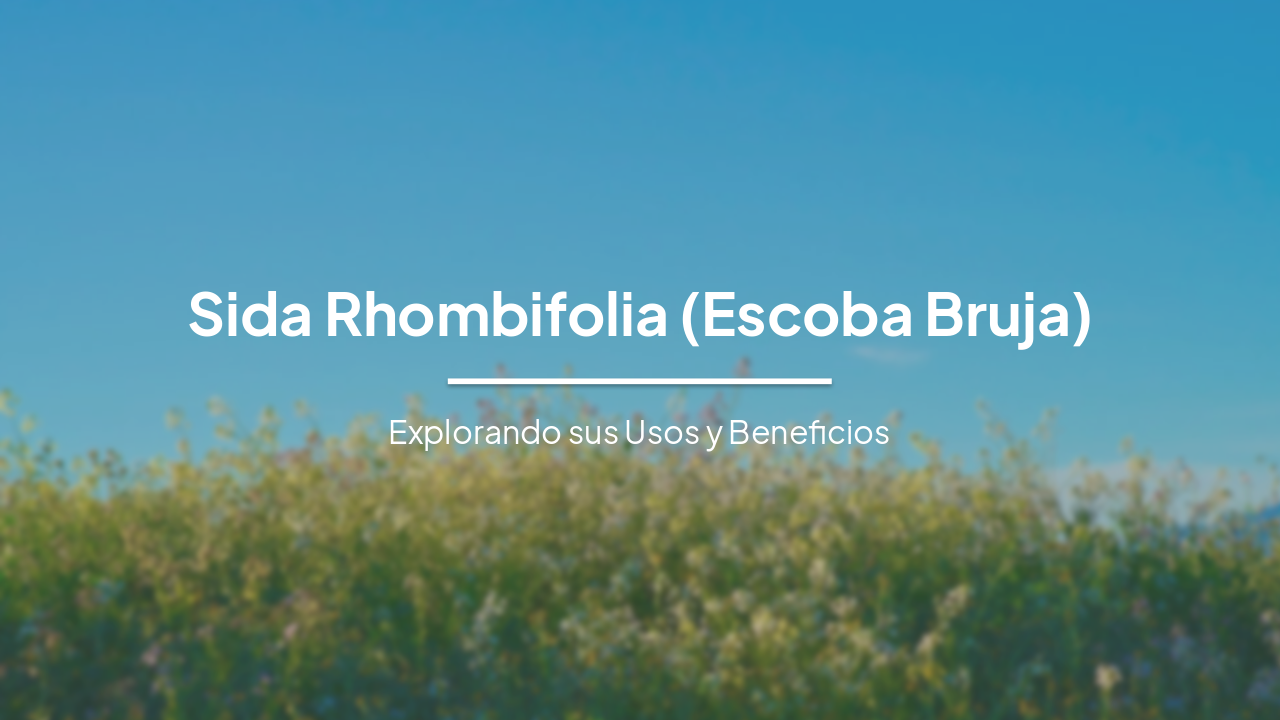 Sida Rhombifolia (Escoba Bruja): Explorando Usos y el Potencial en Cuidado Personal