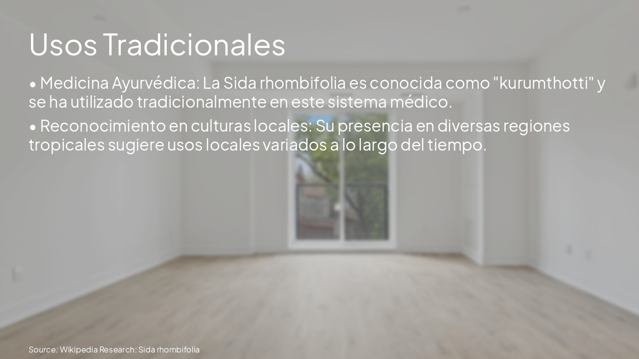 Slide 3 - Usos Tradicionales