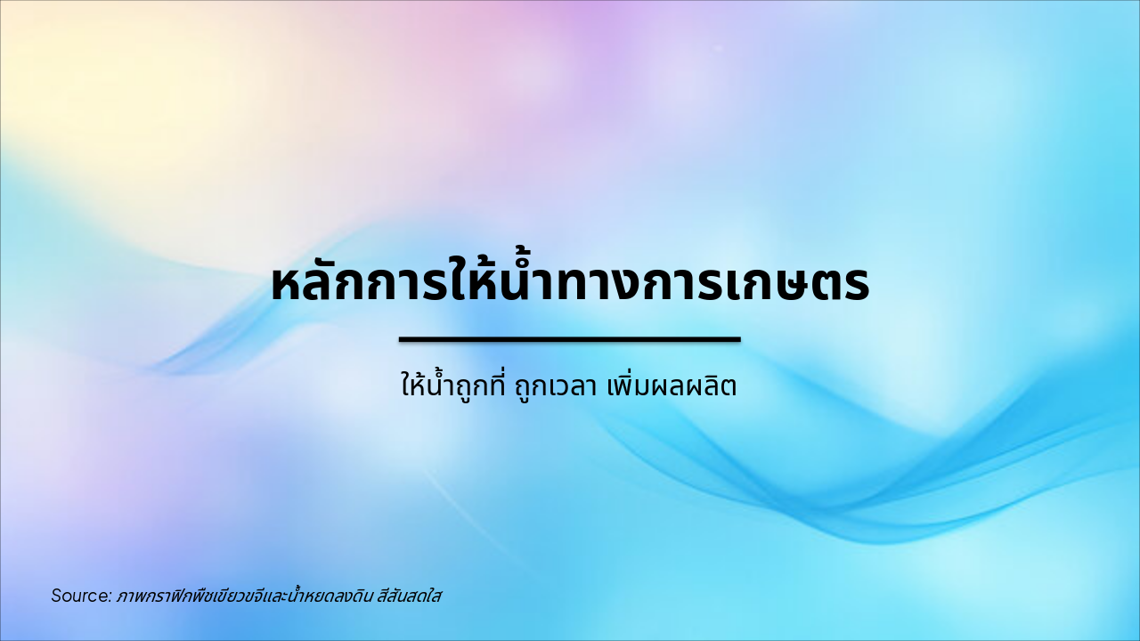 หลักการให้น้ำเกษตรฉบับง่าย