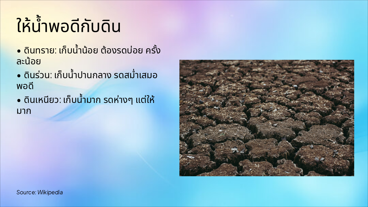 Slide 3 - ให้น้ำพอดีกับดิน