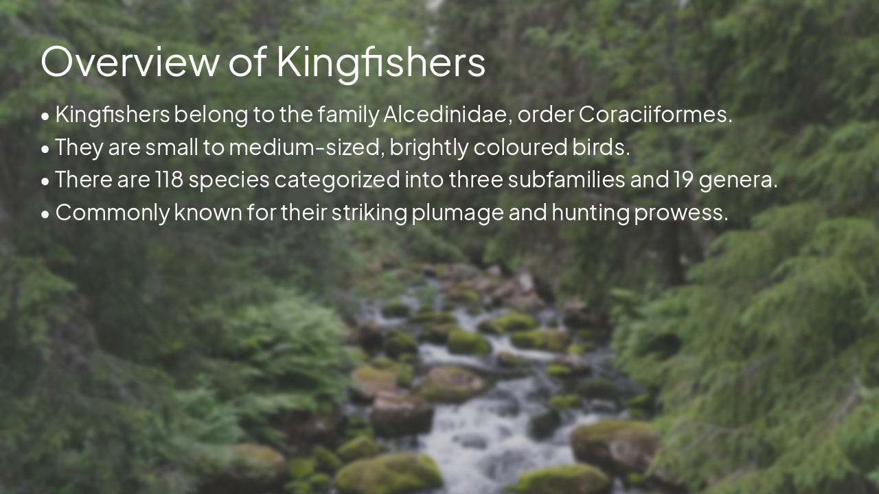 Slide 2 - Overview of Kingfishers