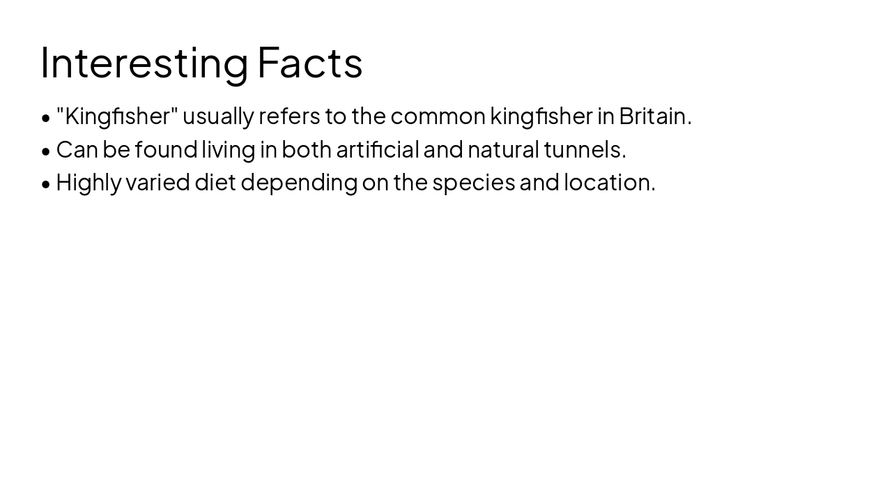 Slide 8 - Interesting Facts