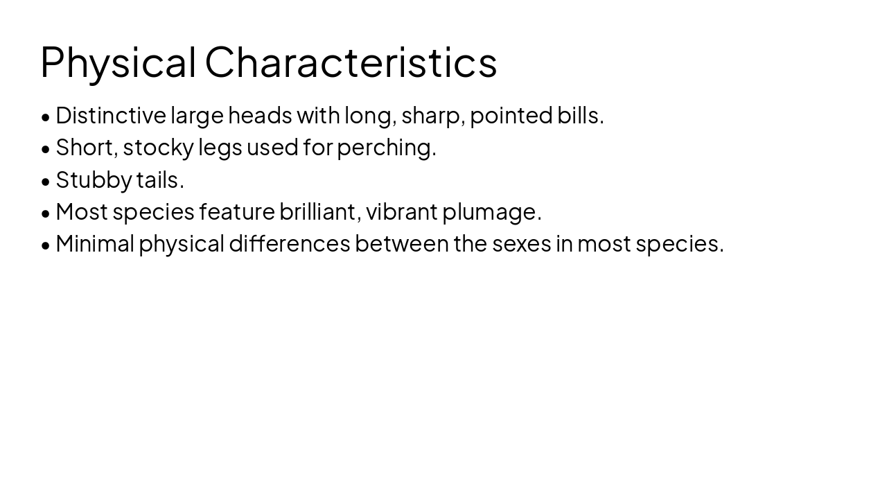 Slide 3 - Physical Characteristics