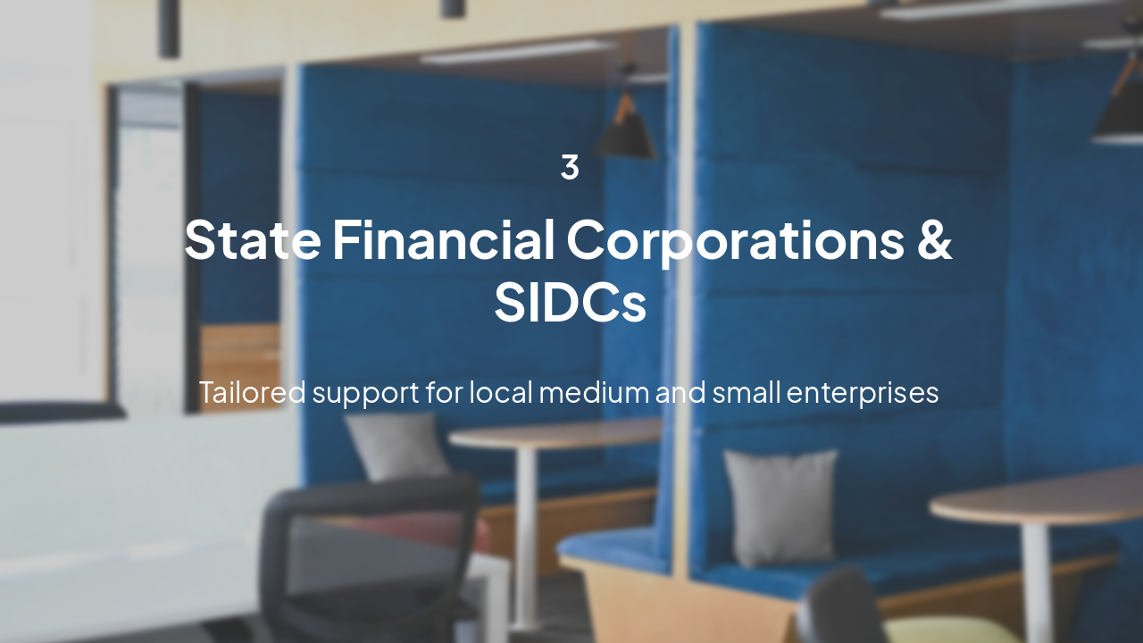Slide 9 - State-Level Institutions