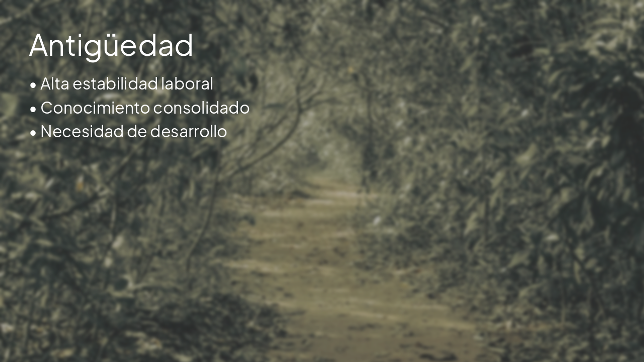 Slide 5 - Antigüedad