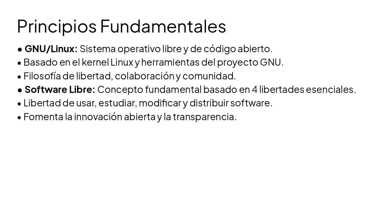 Slide 4 - Principios Fundamentales