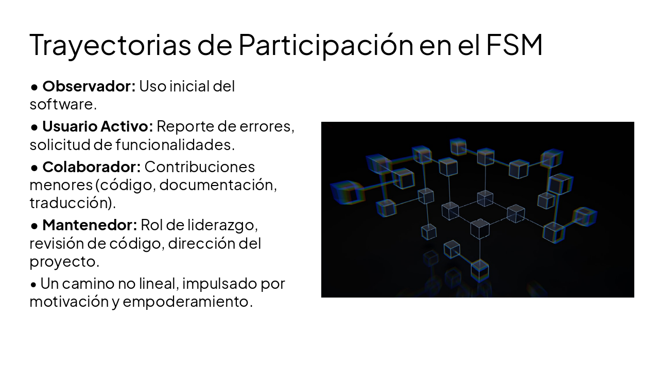 Slide 10 - Trayectorias de Participación en el FSM
