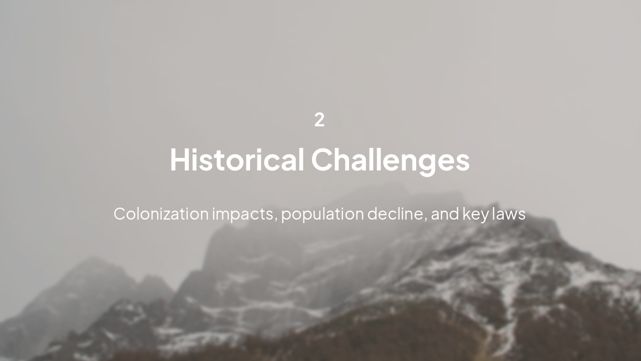 Slide 6 - Historical Challenges