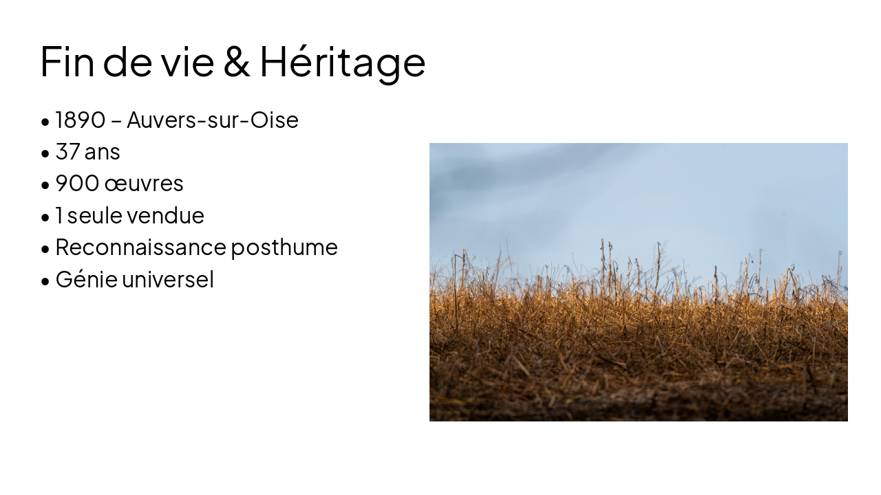 Slide 8 - Fin de vie & Héritage