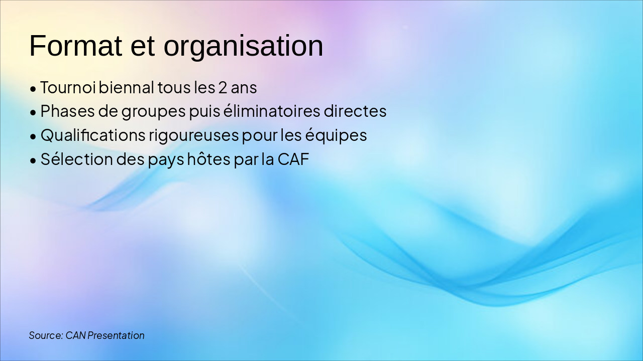 Slide 3 - Format et organisation