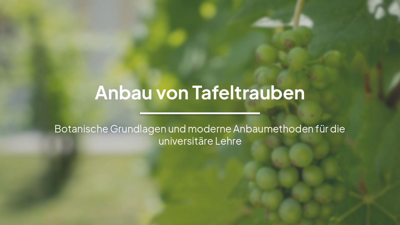 Anbau von Tafeltrauben: Botanik und Moderne Methoden