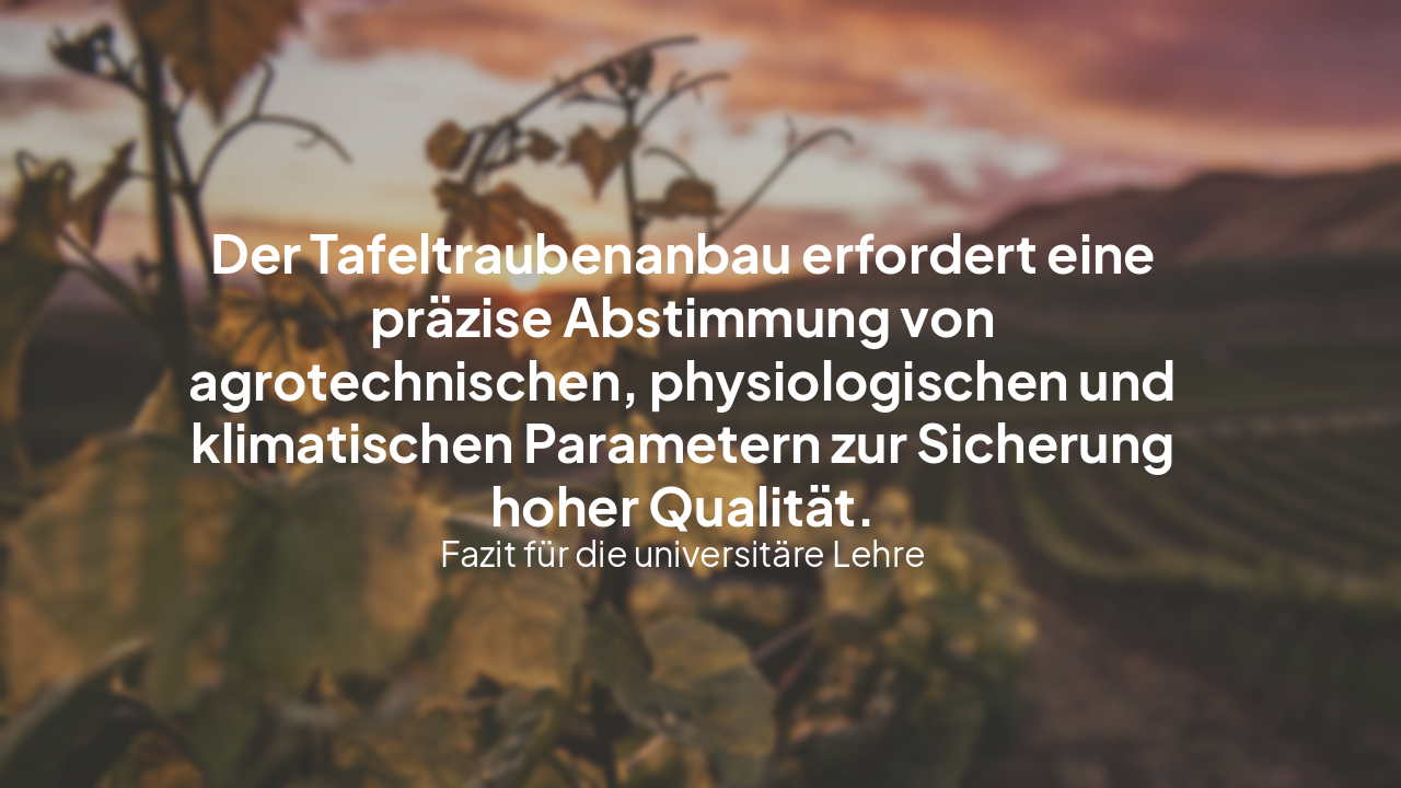 Slide 13 - Zusammenfassung und Ausblick