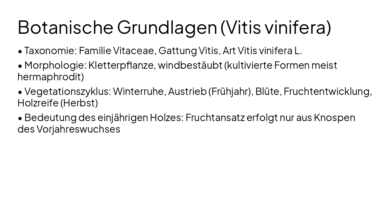 Slide 4 - Botanische Grundlagen (Vitis vinifera)