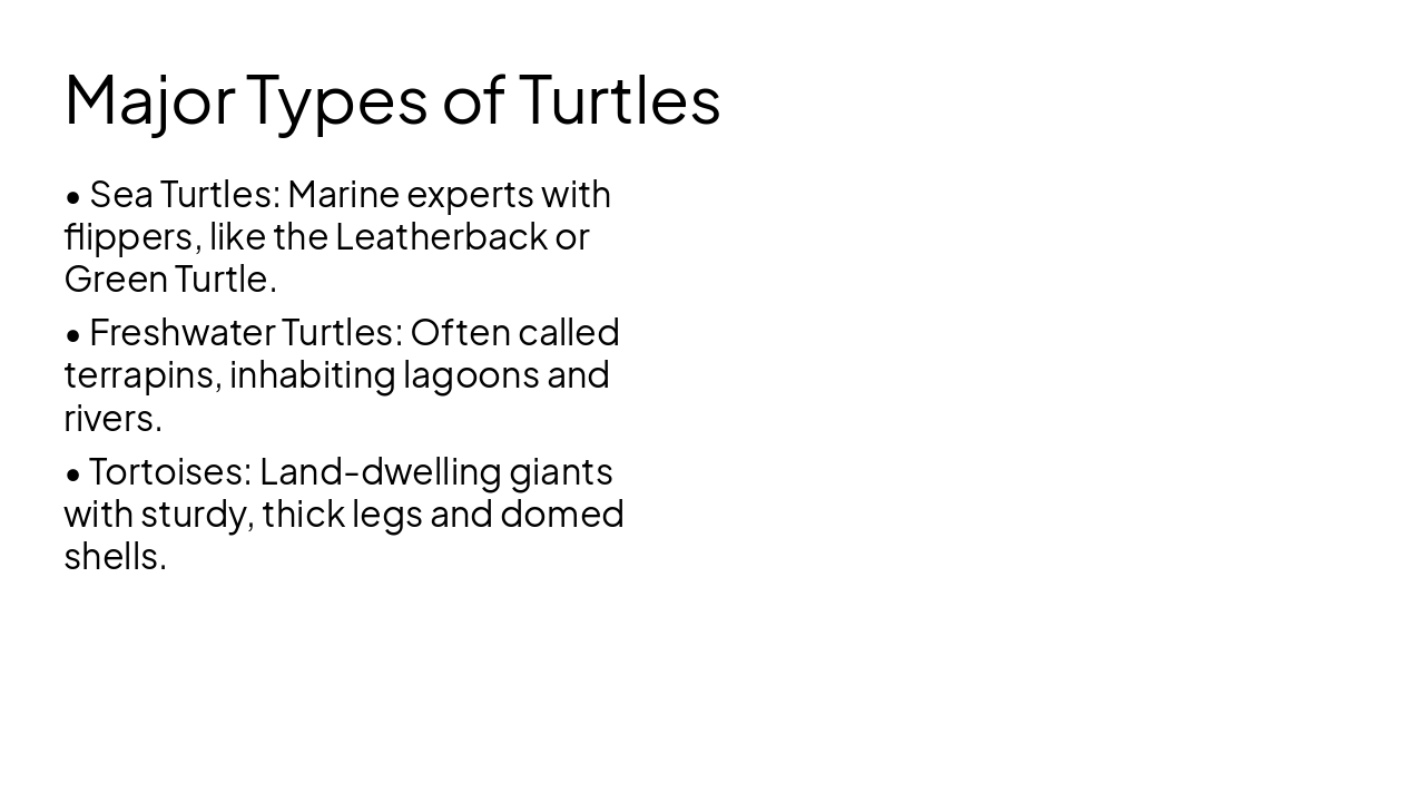 Slide 4 - Major Types of Turtles