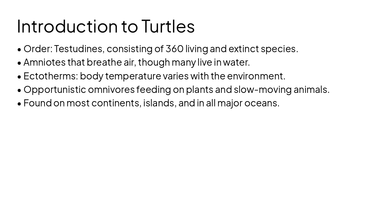 Slide 3 - Introduction to Turtles
