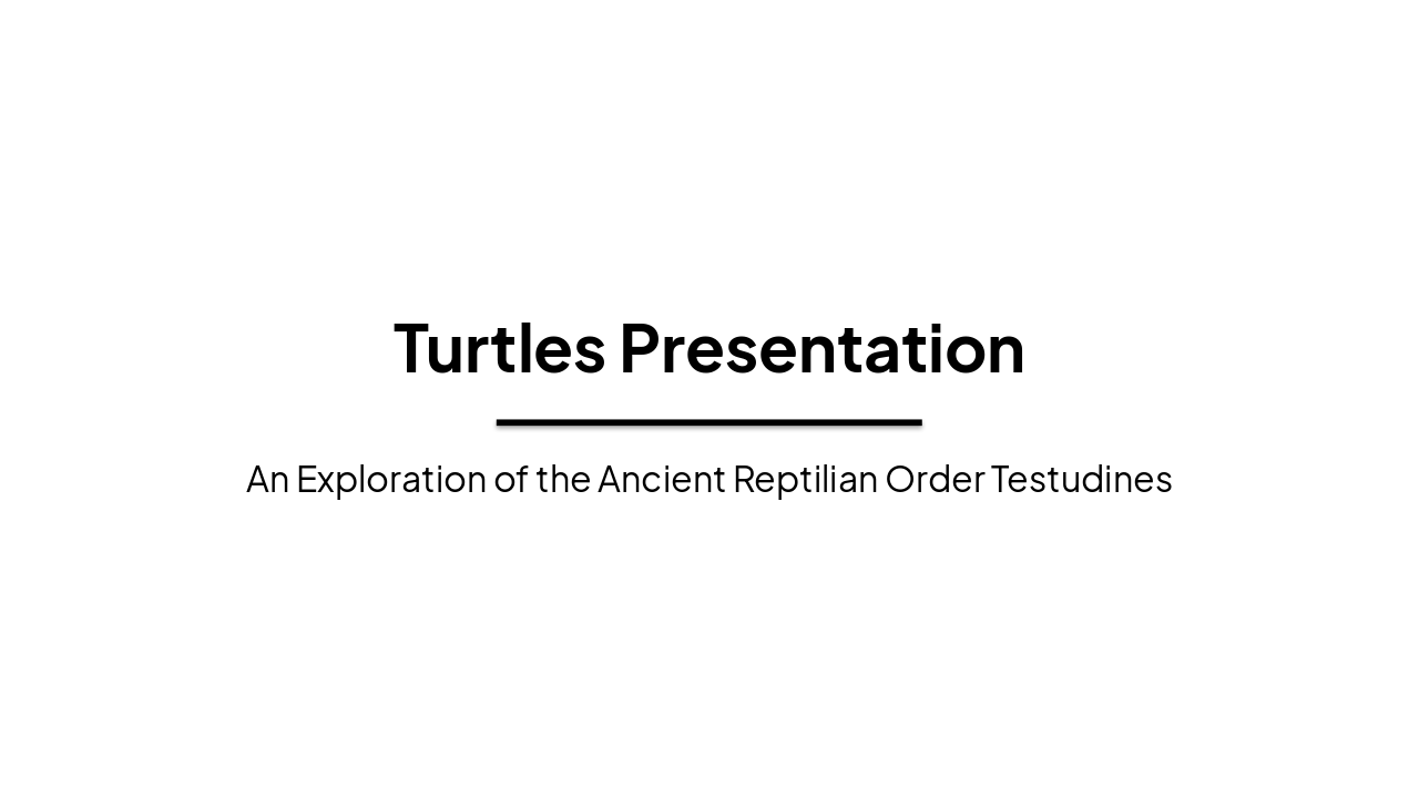 Turtles: Guardians of Earth and Ocean