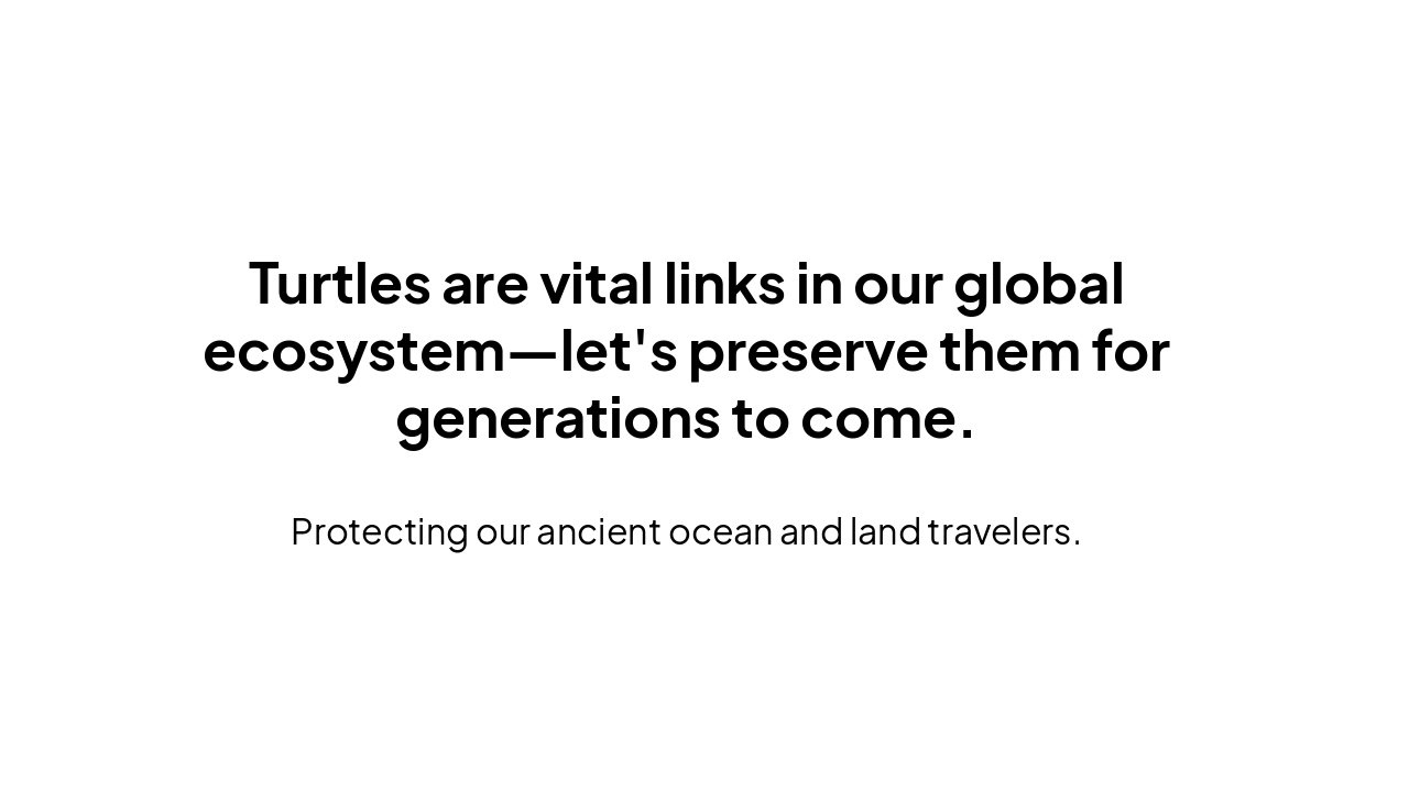 Slide 11 - Conclusion