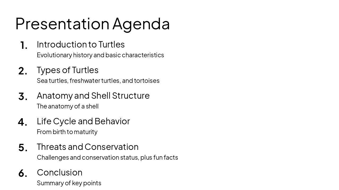 Slide 2 - Presentation Agenda