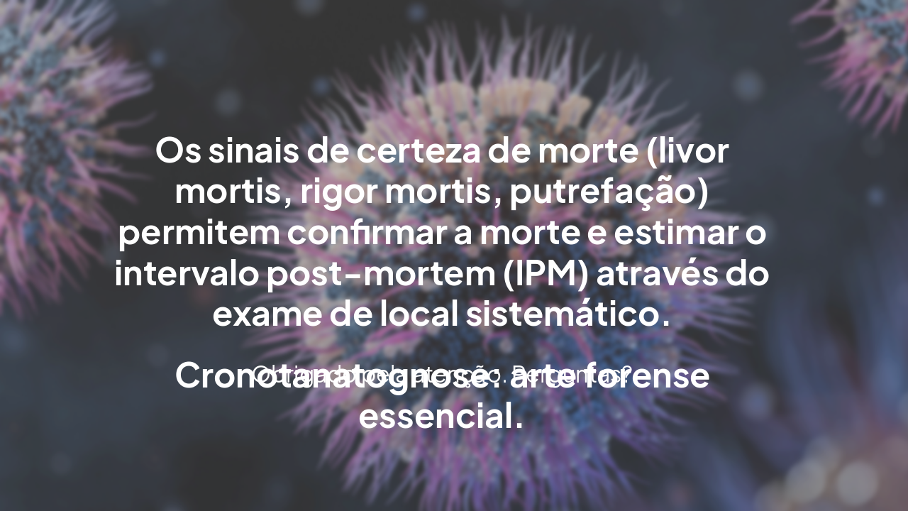 Slide 20 - Conclusão