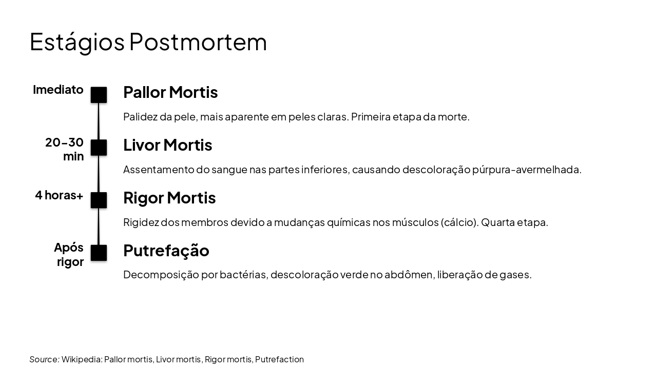 Slide 5 - Estágios Postmortem