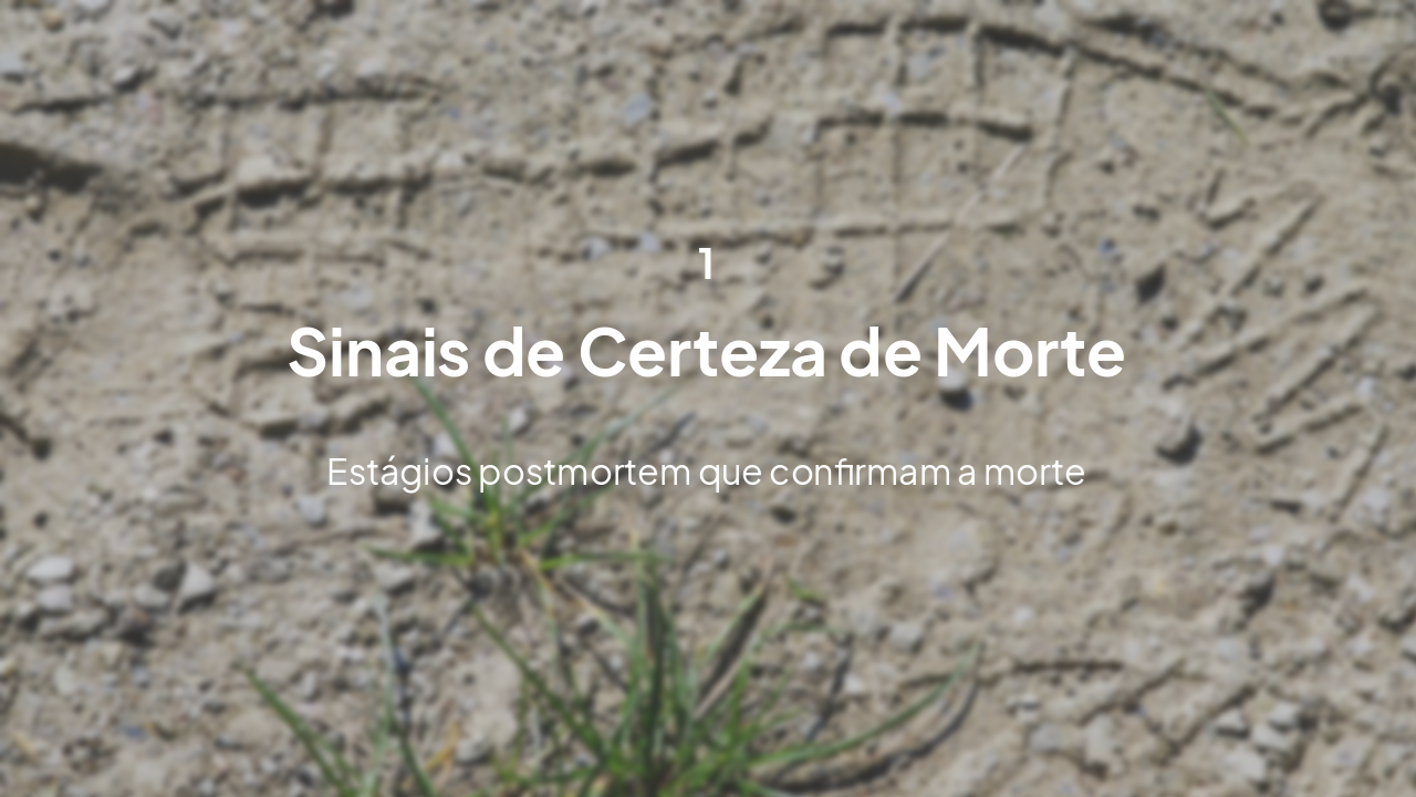Slide 4 - Sinais de Certeza de Morte