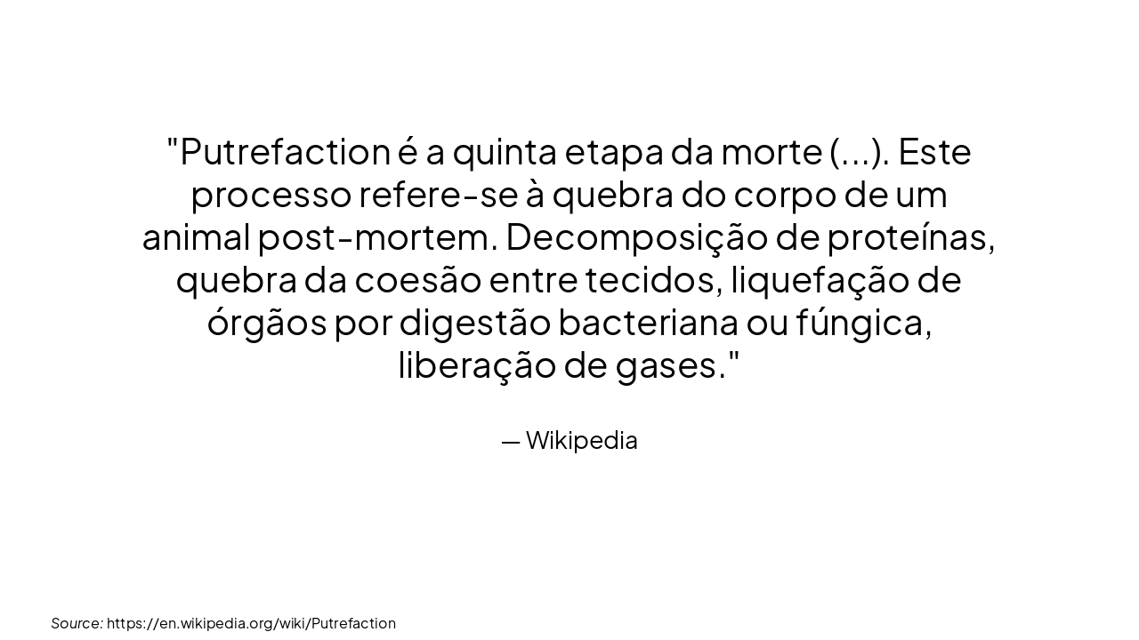 Slide 13 - Processo de Putrefação