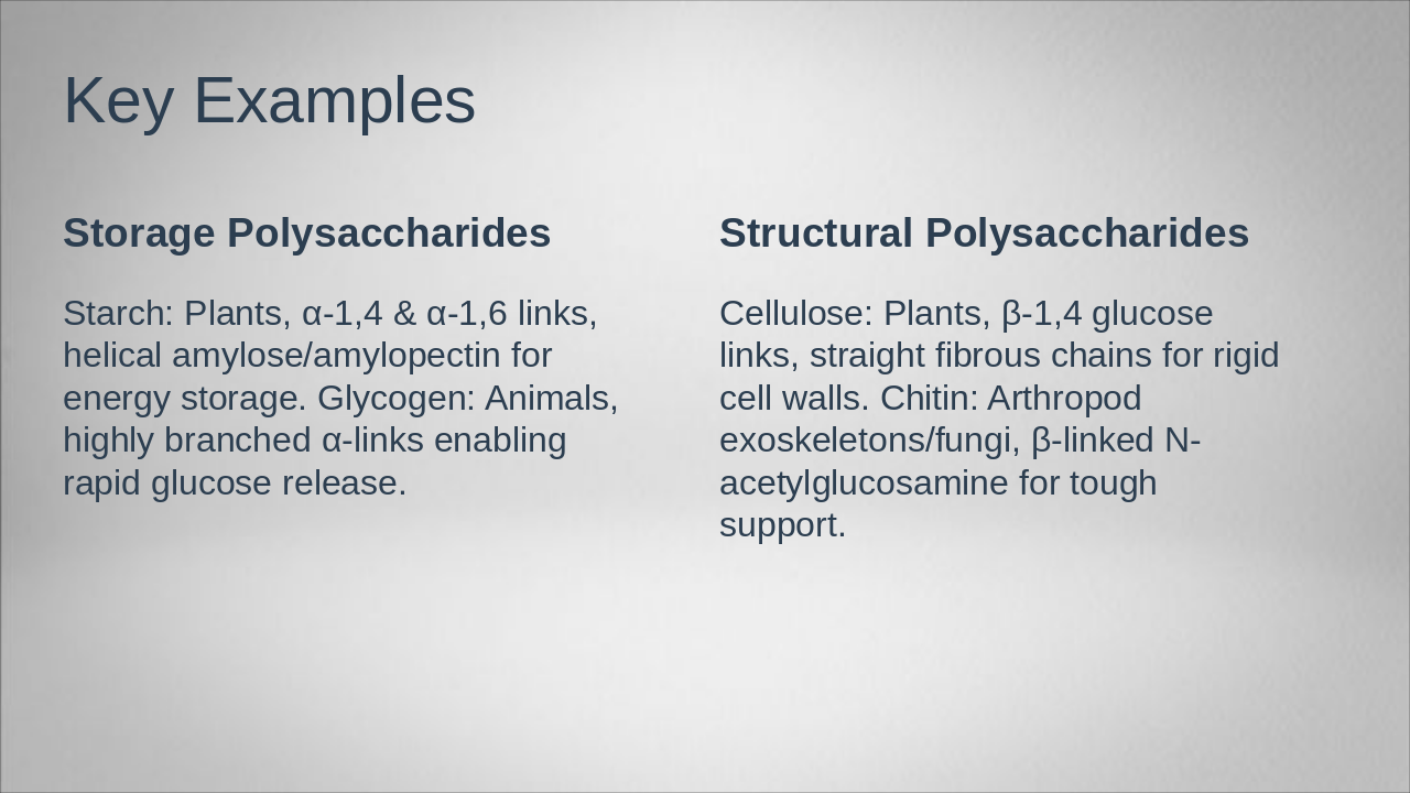 Slide 6 - Key Examples