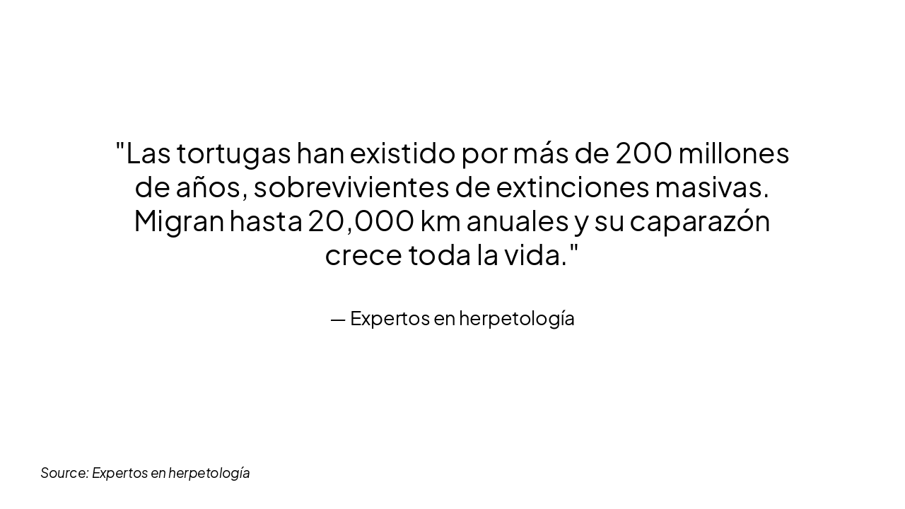 Slide 7 - Hechos Interesantes