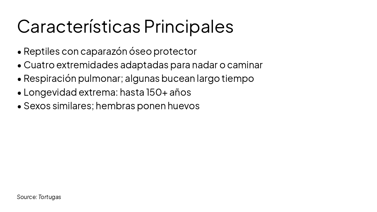 Slide 4 - Características Principales