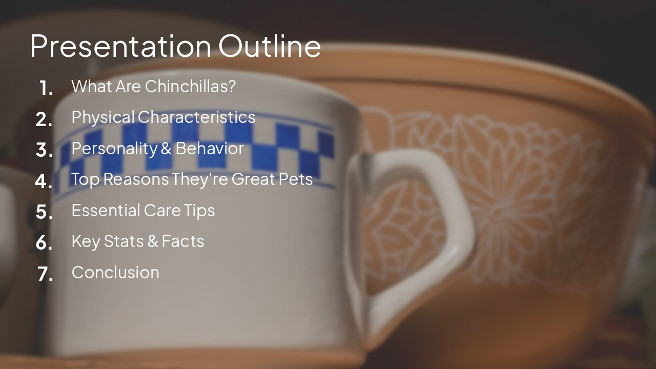 Slide 2 - Presentation Outline