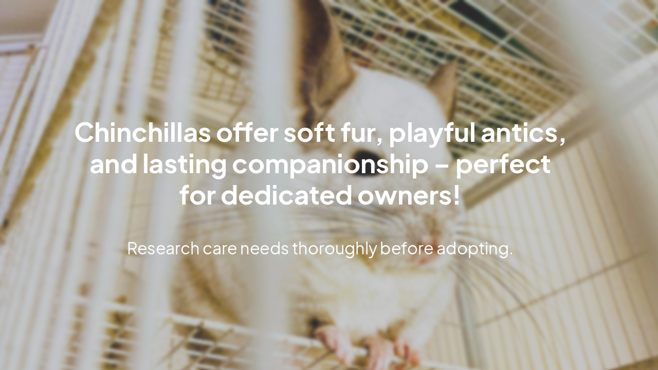 Slide 9 - Why Choose a Chinchilla?