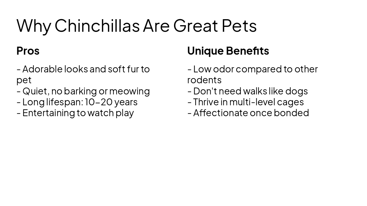 Slide 6 - Why Chinchillas Are Great Pets