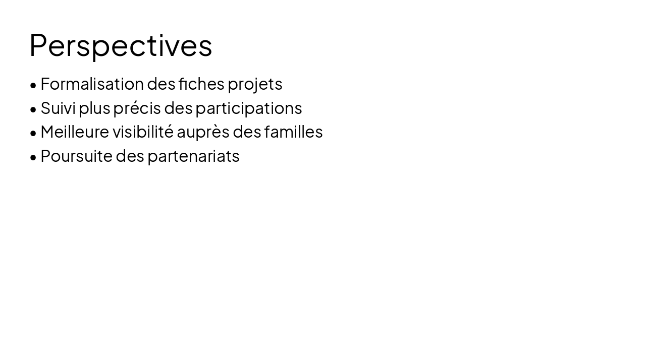 Slide 11 - Perspectives