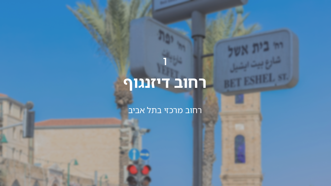 Slide 3 - רקע על רחוב דיזנגוף