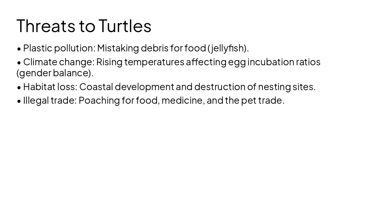 Slide 9 - Threats to Turtles