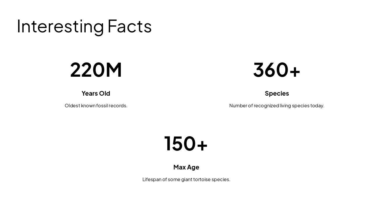 Slide 11 - Interesting Facts