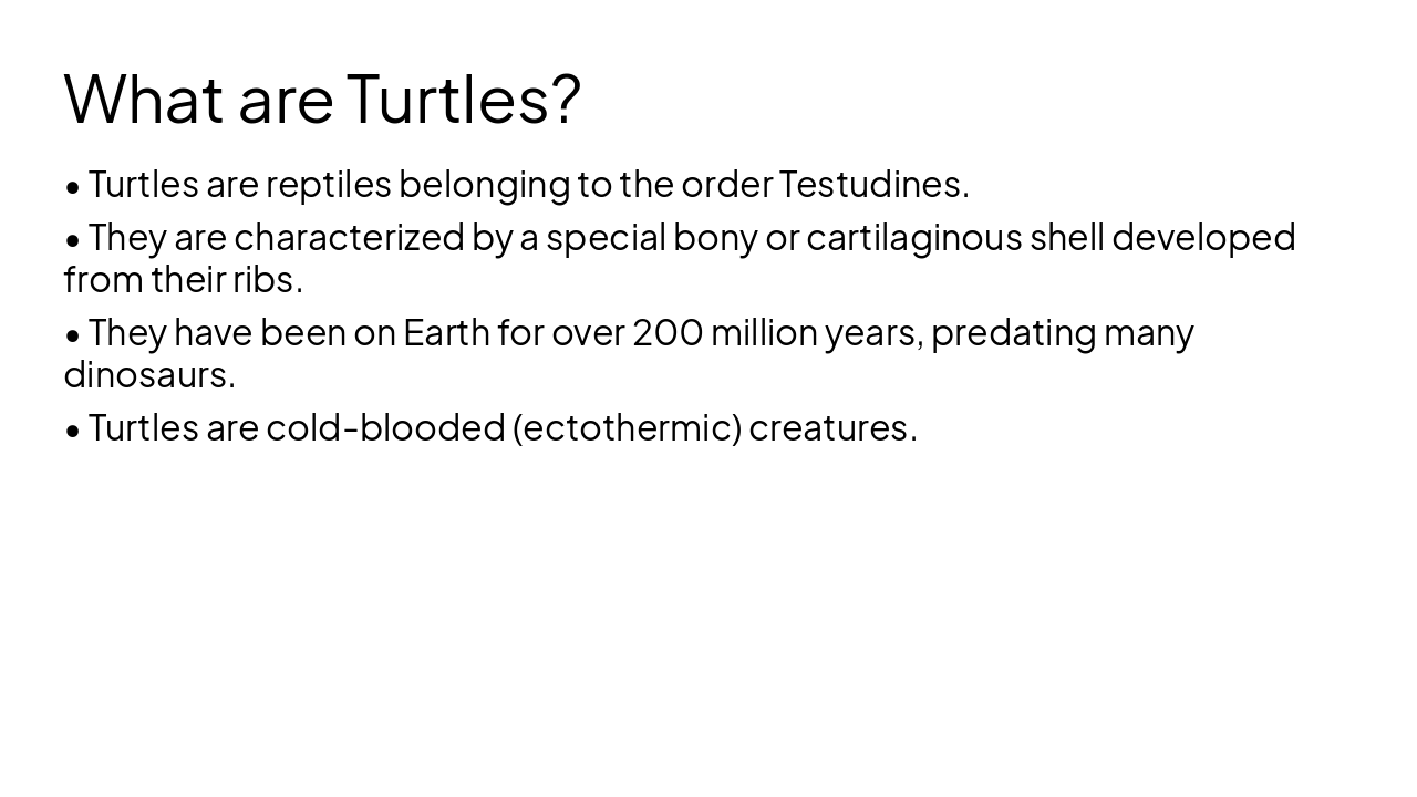 Slide 3 - What are Turtles?